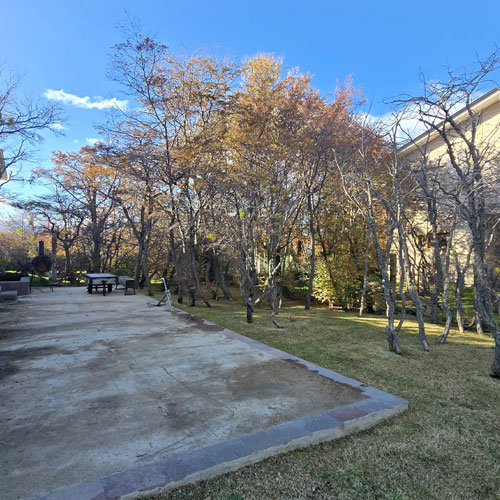 CASA LOS CAUQUENES
